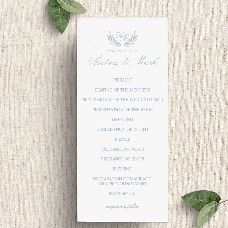 Something Blue Program